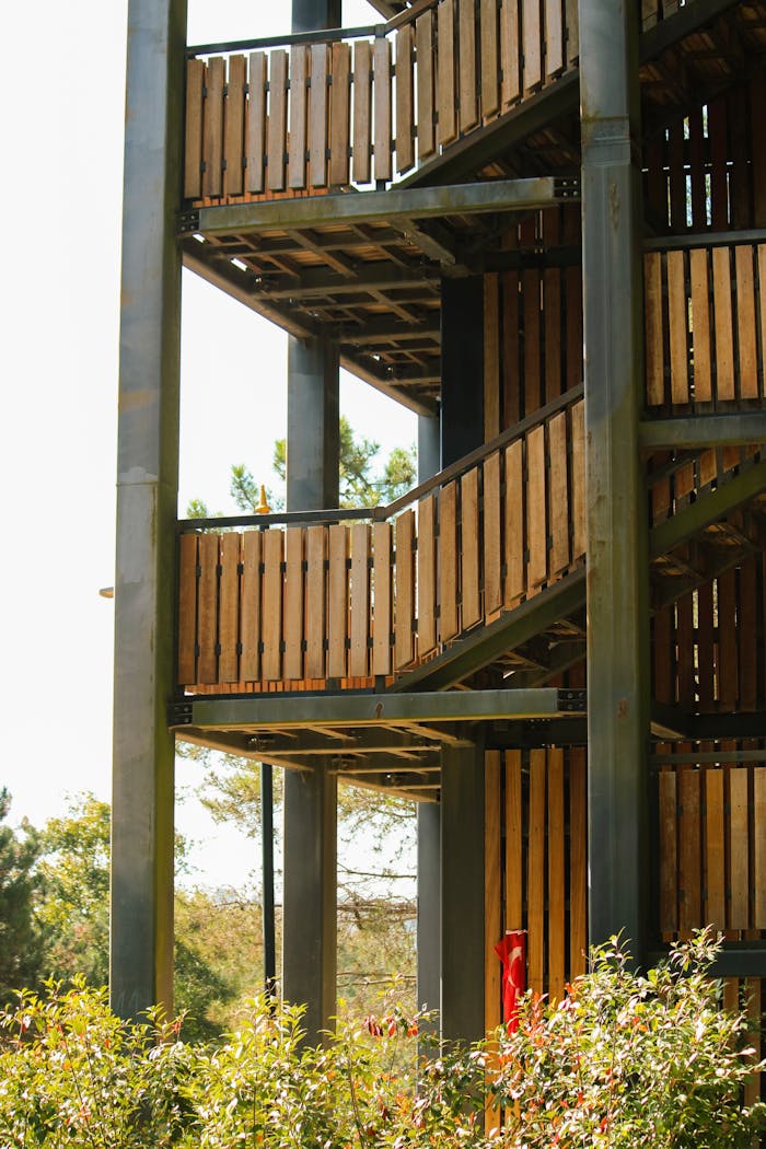 Wooden staircase structure in a lush outdoor environment, ideal for eco-architecture themes.
